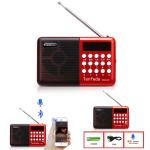 Speaker Radio Bluetooth Tenfeda H853SBT - បាស់ប្ល៊ូធូស វទ្យុ Tenfeda H853SBT